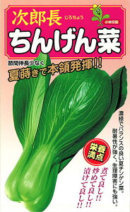 Y 2dl [ `Q `QTC 񂰂񂳂yюc   ^lzyʏ5{ 5̂̓|Cg10{ΏۊOi|Cg3{Œ菤iz