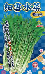 א - ɍ׌n - 2dl  ~Yi ݂ȁyюc   ^lzyʏ5{ 5̂̓|Cg10{ΏۊOi|Cg3{Œ菤iz