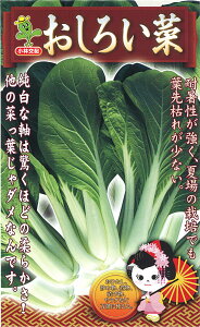 낢 2dl  Vi ȁyюc   ^lzyʏ5{ 5̂̓|Cg10{ΏۊOi|Cg3{Œ菤iz