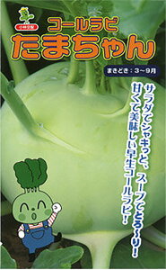 ܂ 1000 R[r [сyюc   ^lzyʏ5{ 5̂̓|Cg10{ΏۊOi|Cg3{Œ菤iz