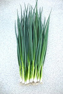 P 2dl K lM ˂yюc   ^lzyʏ5{ 5̂̓|Cg10{ΏۊOi|Cg3{Œ菤iz