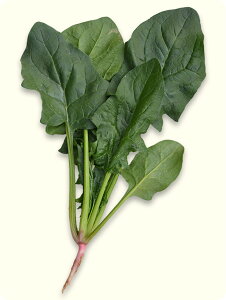 CiY}11 M3 ق @@ zE\E ق񂻂yюc   ^lzyʏ5{ 5̂̓|Cg10{ΏۊOi|Cg3{Œ菤iz