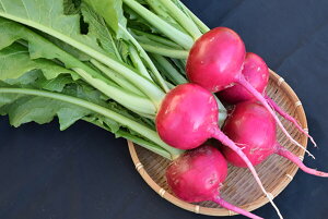  20ml  Ju yюc   ^lzyʏ5{ 5̂̓|Cg10{ΏۊOi|Cg3{Œ菤iz