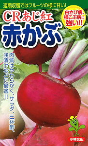 CRg 1dl  Ju yюc   ^lzyʏ5{ 5̂̓|Cg10{ΏۊOi|Cg3{Œ菤iz