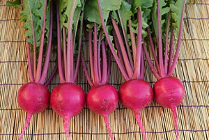 Ԍs2 20ml  Ju yюc   ^lzyʏ5{ 5̂̓|Cg10{ΏۊOi|Cg3{Œ菤iz