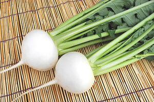 CRƂ땓 20ml  Ju yюc   ^lzyʏ5{ 5̂̓|Cg10{ΏۊOi|Cg3{Œ菤iz