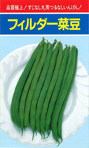 tB_[(Ȃ) 1L B CQ} 񂰂܂߁yюc   ^lzyʏ5{ 5̂̓|Cg10{ΏۊOi|Cg3{Œ菤iz