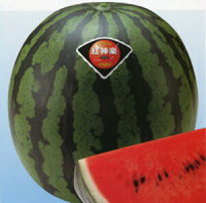 g_y 200 XCJ  Zy_c_   ^l zyʏ5{ 5̂̓|Cg10{z