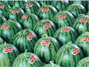  200 XCJ  Zy_c_   ^l zyʏ5{ 5̂̓|Cg10{z