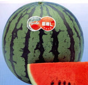 スイカ 特大の人気商品 通販 価格比較 価格 Com
