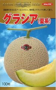 NVA(Čn) 100 ߂  rZy_c_   ^l zyʏ5{ 5̂̓|Cg10{z