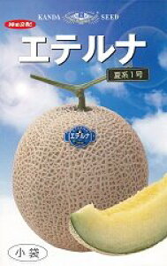 Gei(Čn1) 100 ߂  rZy_c_   ^l zyʏ5{ 5̂̓|Cg10{z