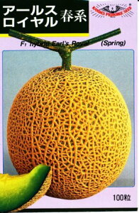 A[XCtn 100 ߂  rZy_c_   ^l zyʏ5{ 5̂̓|Cg10{z