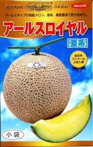 A[XCČn 100 ߂  rZy_c_   ^l zyʏ5{ 5̂̓|Cg10{z