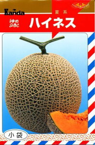 nClX(Čn) 100 ߂  rZy_c_   ^l zyʏ5{ 5̂̓|Cg10{z