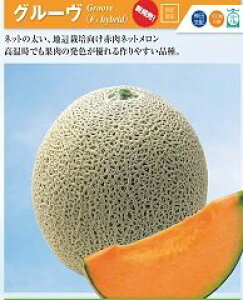 O[(ԓ) 100 ߂  rZy_c_   ^l zyʏ5{ 5̂̓|Cg10{z