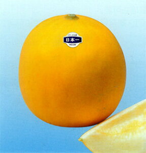 {S[h(E) 100 ߂  rZy_c_   ^l zyʏ5{ 5̂̓|Cg10{z