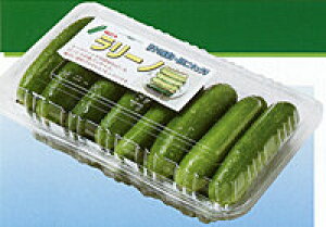 [mPro 100 ӉZ LE イ y_c_   ^l zyʏ5{ 5̂̓|Cg10{z