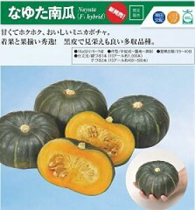 Ȃ䂽Z(~jڂ) 100 Z J{` ڂy_c_   ^l zyʏ5{ 5̂̓|Cg10{z