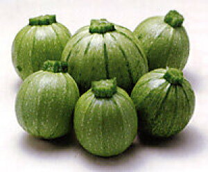 O[GbO 100 YbL[j [Ɂy_c_   ^l zyʏ5{ 5̂̓|Cg10{z