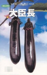 b 20ml iX Ȃ ֎qy_c_   ^l zyʏ5{ 5̂̓|Cg10{z