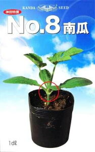no.8Z 1dl Z J{` ڂy_c_   ^l zyʏ5{ 5̂̓|Cg10{z