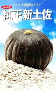 VyZ(ؗp) 1l  _CM y_c_   ^l zyʏ5{ 5̂̓|Cg10{z