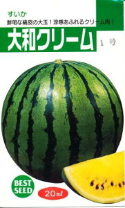 aN[ꍆ 20ml XCJ  Zy_c_   ^l zyʏ5{ 5̂̓|Cg10{z