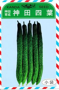 _clt 20ml ӉZ LE イ_clt 20mlyʏ5{ 5̂̓|Cg10{z