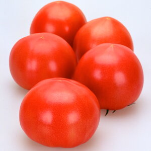 ӂ xbg1000 g}g Ƃ܂ ׉ցyJlRc   ^l zyʏ5{ 5̂̓|Cg10{z