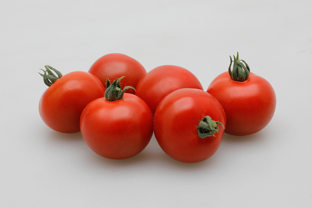 耐病性 食味にも優れる中玉トマトのニューエース TYレッドオーレ 最大55％オフ！ 1000粒 トマト とまと 蕃茄 通常5倍 カネコ種苗 5のつく日はポイント10倍 タネ たね 種 最大77%OFFクーポン