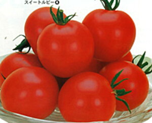 XC[gr[ 1000 g}g Ƃ܂ ׉ցyJlRc   ^l zyʏ5{ 5̂̓|Cg10{z