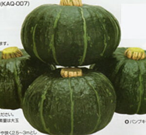 pvLbY 100 Z J{` ڂyJlRc   ^l zyʏ5{ 5̂̓|Cg10{z