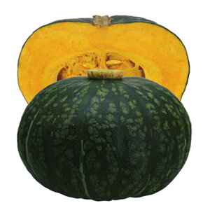 قق 500 Z J{` ڂyJlRc   ^l zyʏ5{ 5̂̓|Cg10{z