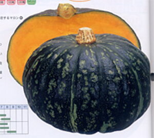 } 1000 Z J{` ڂyJlRc   ^l zyʏ5{ 5̂̓|Cg10{z