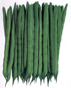  2000 B TCQ ₢񂰂yJlRc   ^l zyʏ5{ 5̂̓|Cg10{z