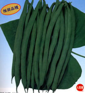 V[K 2000 B TCQ ₢񂰂yJlRc   ^l zyʏ5{ 5̂̓|Cg10{z