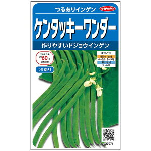 P^bL[_[ 1L B TCQ ₢񂰂yJlRc   ^l zyʏ5{ 5̂̓|Cg10{z