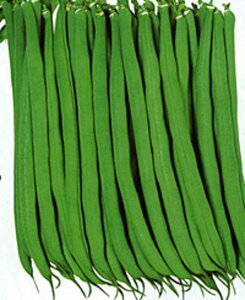 X[p[Vbg 2000 B TCQ ₢񂰂yJlRc   ^l zyʏ5{ 5̂̓|Cg10{z