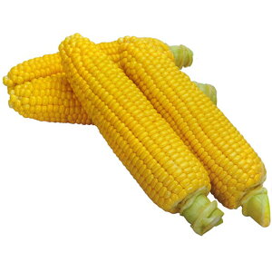 킭킭R[82 2000 XC[gR[yJlRc   ^l zyʏ5{ 5̂̓|Cg10{z