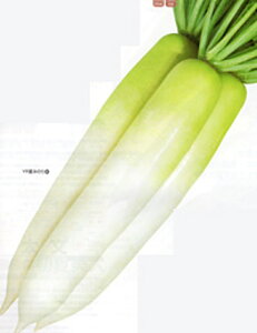 YRĂ݂̂ 20ml 卪 _CR yJlRc   ^l zyʏ5{ 5̂̓|Cg10{z