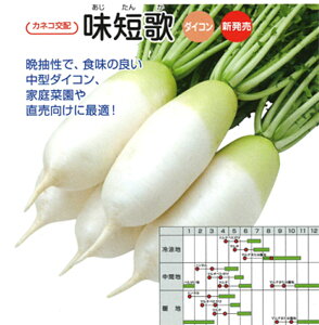 Z 10000 卪 _CR yJlRc   ^l zyʏ5{ 5̂̓|Cg10{z