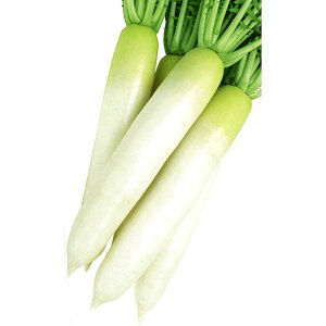 LH 8000 卪 _CR yJlRc   ^l zyʏ5{ 5̂̓|Cg10{z