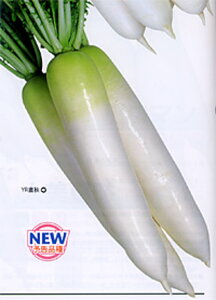 YRH ybg5000 卪 _CR yJlRc   ^l zyʏ5{ 5̂̓|Cg10{z