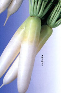 Bl 2dl 卪 _CR yJlRc   ^l zyʏ5{ 5̂̓|Cg10{z