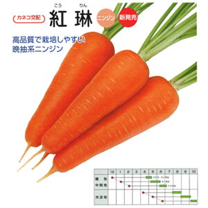 g ybg10000 jW ɂ񂶂 lQyJlRc   ^l zyʏ5{ 5̂̓|Cg10{z