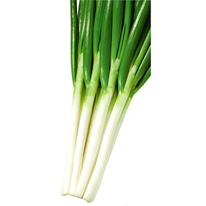  ybg6000 K lM ˂yJlRc   ^l zyʏ5{ 5̂̓|Cg10{z