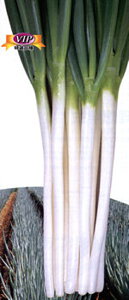 ďꏊ 20ml K lM ˂yJlRc   ^l zyʏ5{ 5̂̓|Cg10{z