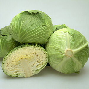 ~ ybg5000 LxcyJlRc   ^l zyʏ5{ 5̂̓|Cg10{z