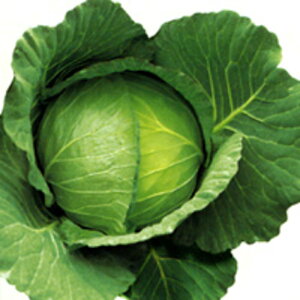  2500 LxcyJlRc   ^l zyʏ5{ 5̂̓|Cg10{z